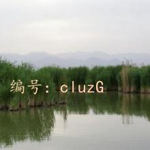 ״