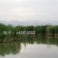 Ŀ